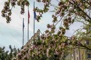 【宜居燕達】擁抱自然 頤養(yǎng)身心 讓您盡享愜意晚年