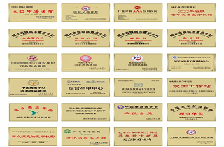 河北燕達醫院十五載榮譽之路：以仁心筑夢，引領醫養康融合高質量發展